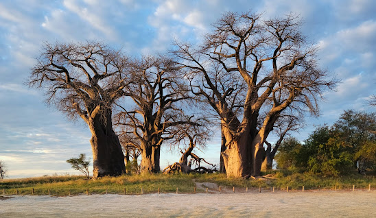 Botswana